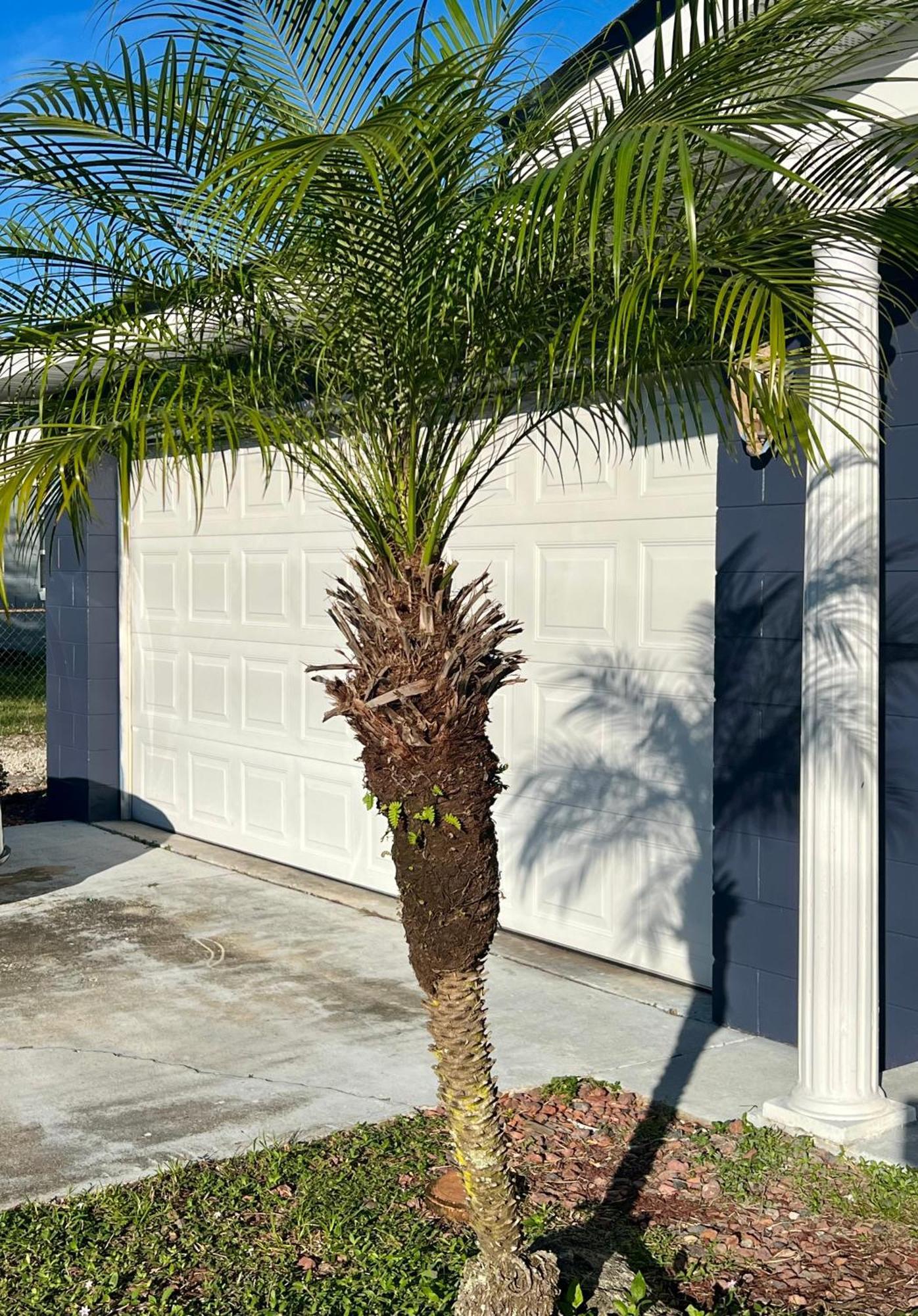 Villa Pool House Oasis Titusville Exterior foto
